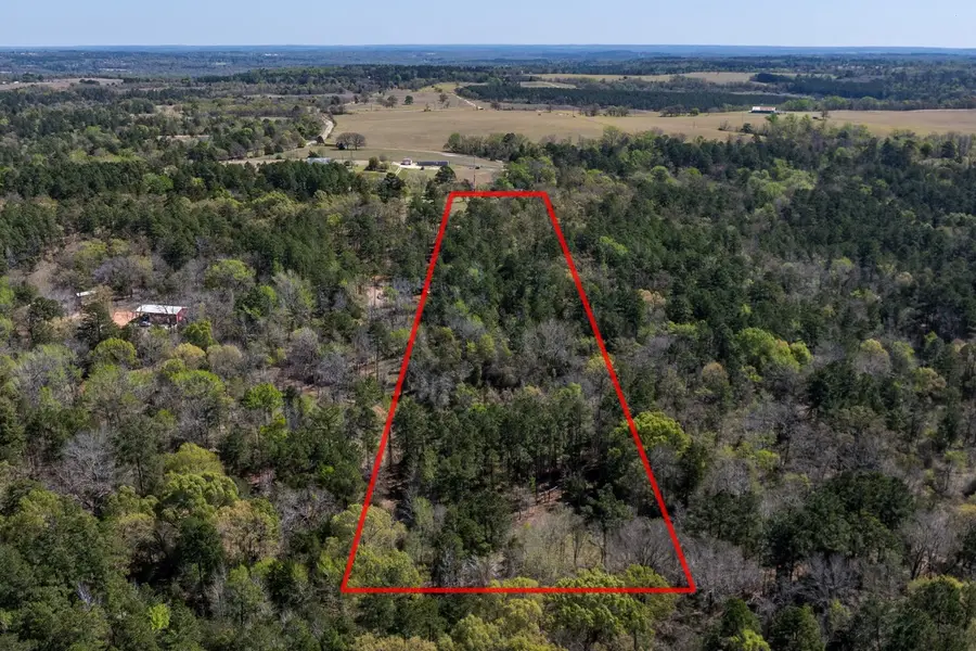 0 County Road 478, Larue, TX 75770 - #3