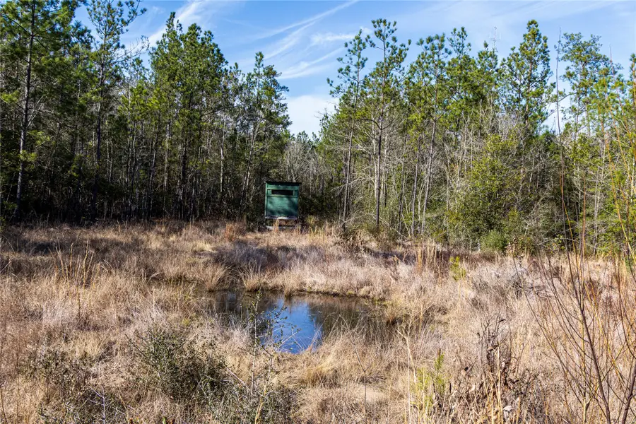 1865 N Hwy 326, Kountze, TX 77625 - #2