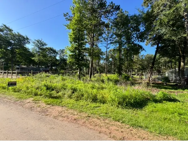 8020 Tawnyberry Lane, Plantersville, TX 77363