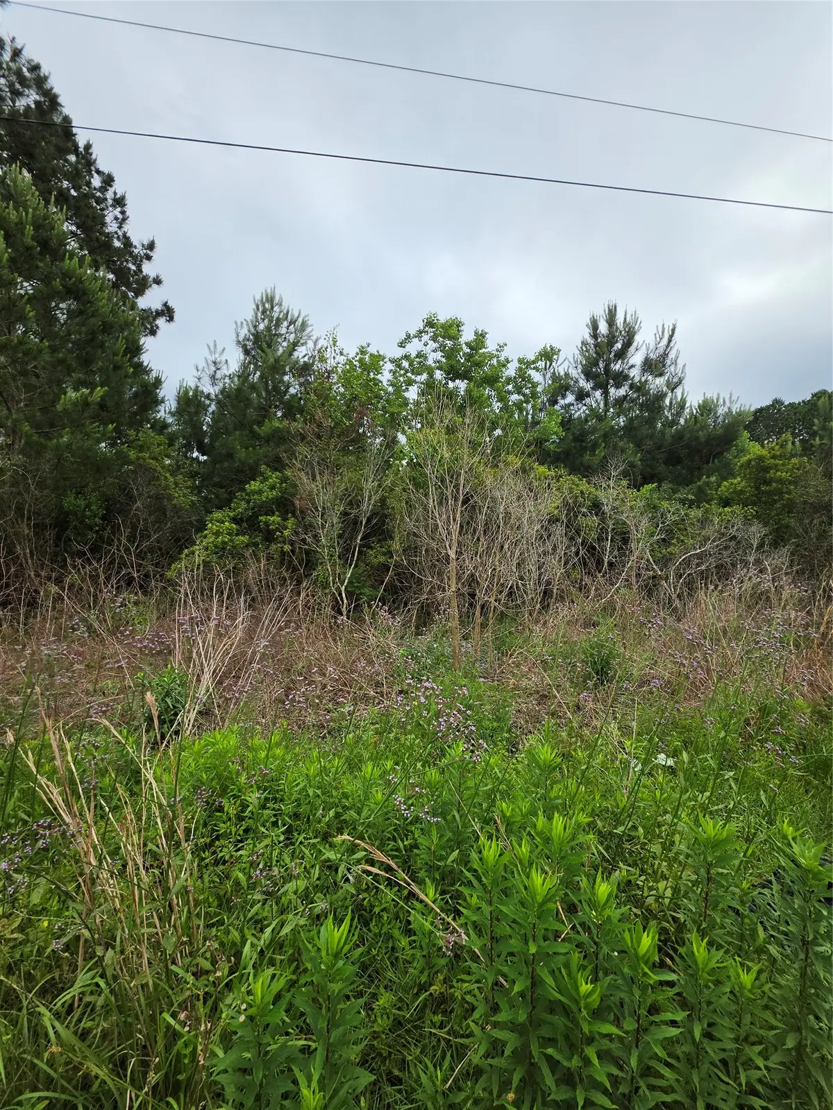 2777 County Road 3479b, Cleveland, TX 77327 - #1