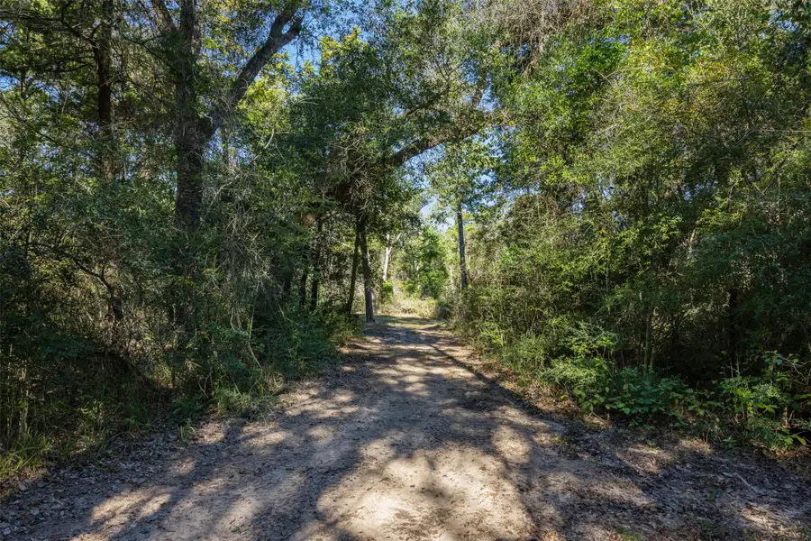 1045 Old New Ulm Road, New Ulm, TX 78950 - Image #2