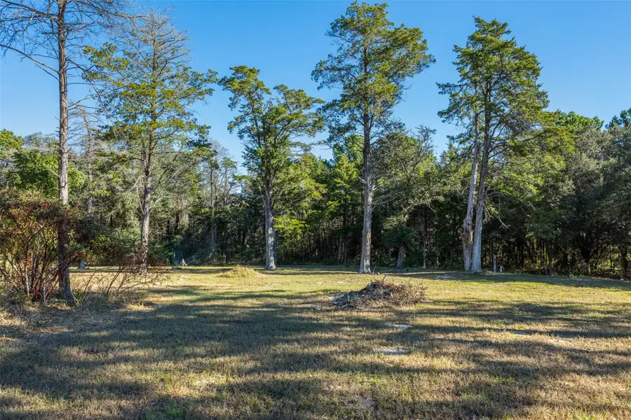 1045 Old New Ulm Road, New Ulm, TX 78950 - Image #3