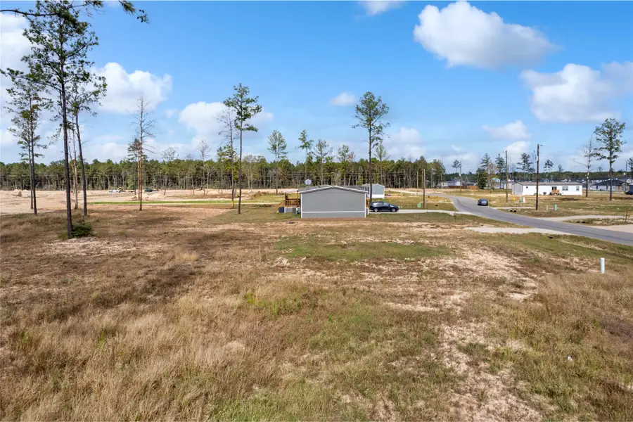 12224 Truchard Drive, Conroe, TX 77306 - Image #3