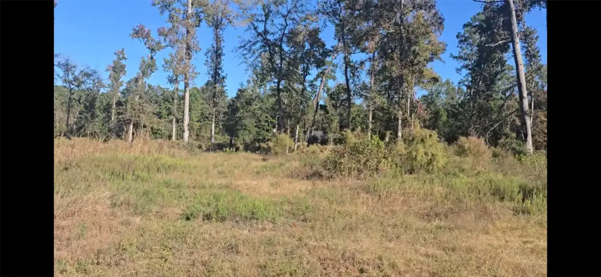 Tract C-3 Gaff Road, Magnolia, TX 77355 - #1