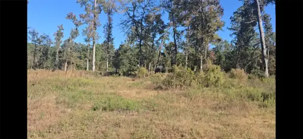 Tract C-3 Gaff Road, Magnolia, TX 77355