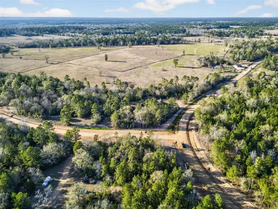 100 Remington Court, Coldspring, TX 77331 - Image #3