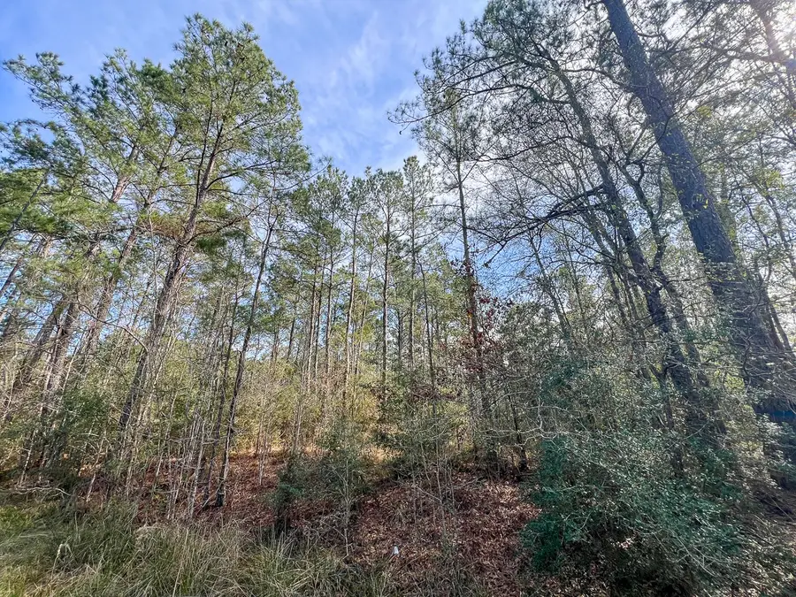 T-1 Zavalla Road, Mauriceville, TX 77626 - #3