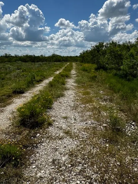 TR 11 Private Road, Waelder, TX 78959
