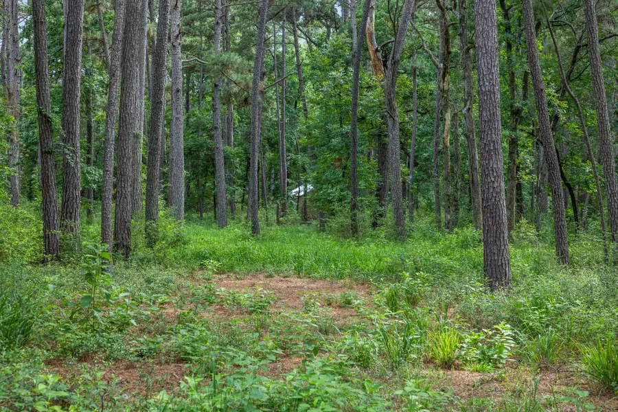 5772 Pr 2065, Centerville, TX 75833 - #3