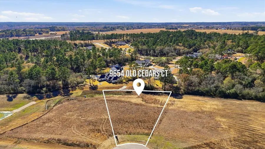 9654 Old Cedars Court, Plantersville, TX 77363 - Image #2