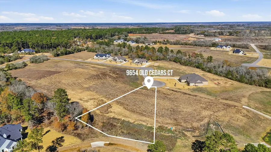 9654 Old Cedars Court, Plantersville, TX 77363 - Image #3