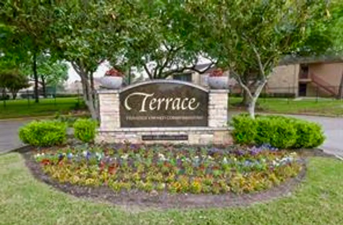 10555 Turtlewood Court #2303, Houston, TX 77072 - Image #1