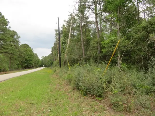 23110 Glenmont Estates Boulevard, Magnolia, TX 77355 - #3