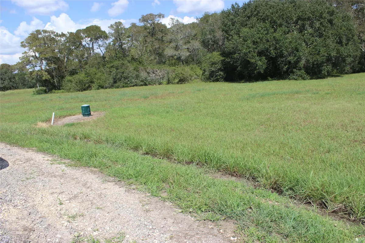 226 River Tree Drive, Blessing, TX 77419 - #1