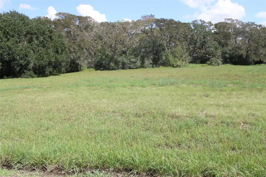 226 River Tree Drive, Blessing, TX 77419 - #2