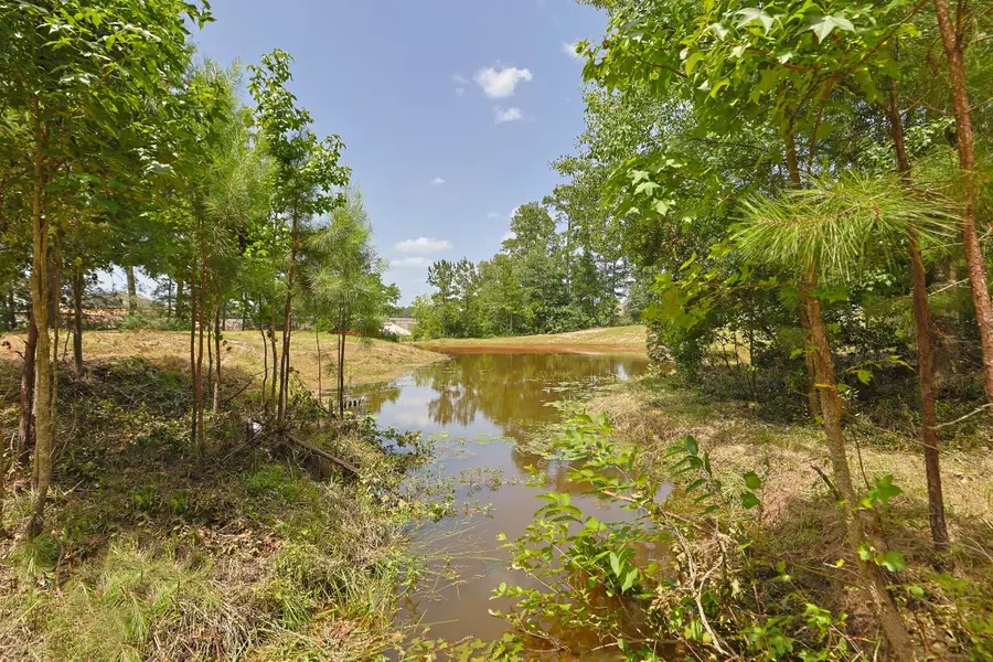 7420 Jackson Road, Montgomery, TX 77316 - #2