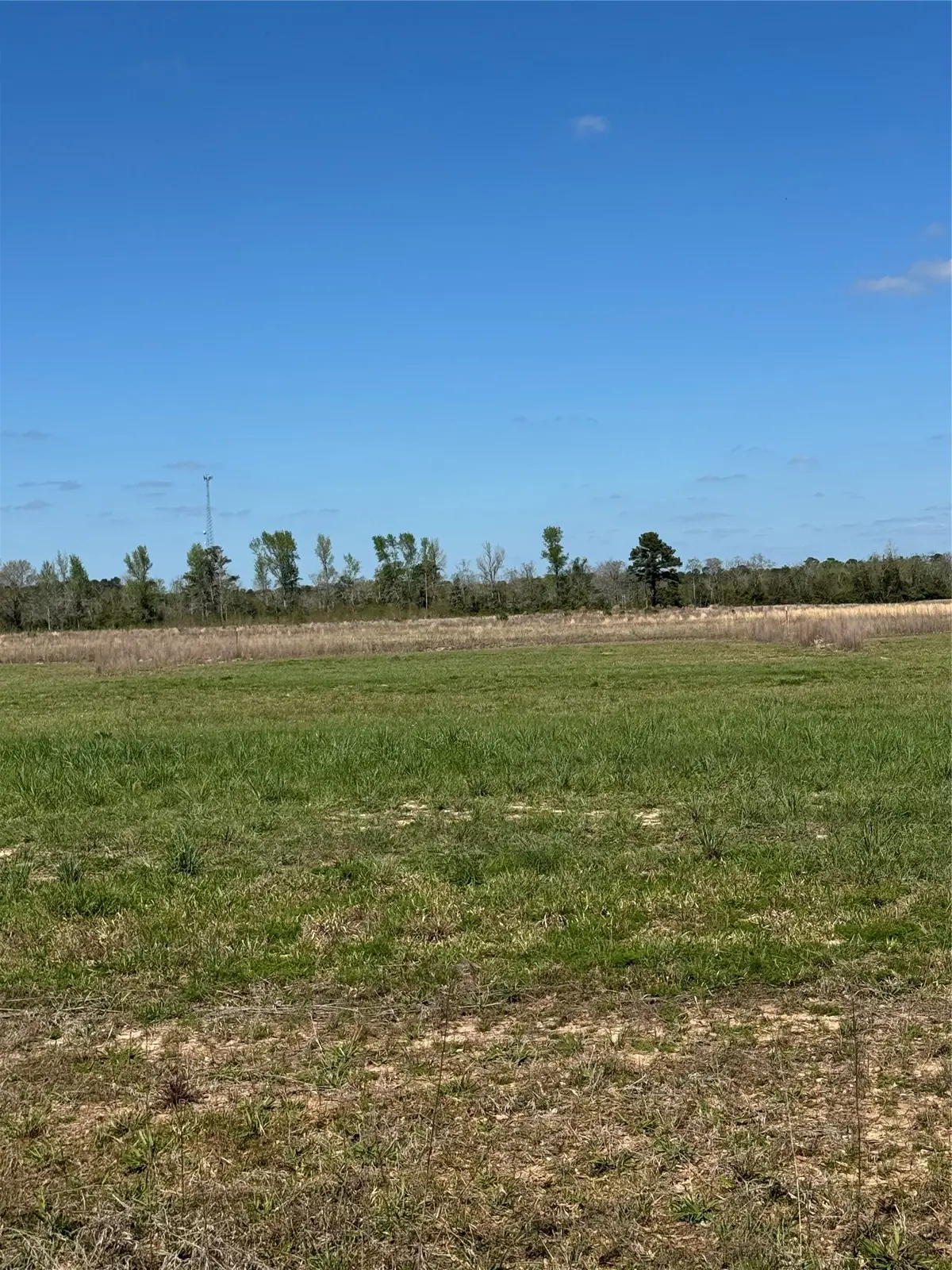 374 County Road 2278, Cleveland, TX 77327 - #1
