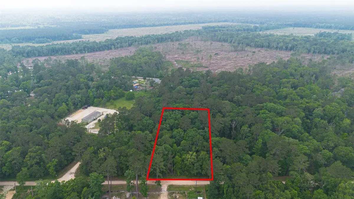 TBD Pine Crest Street, Shepherd, TX 77371 - #1