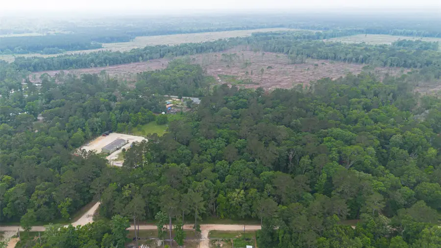 TBD Pine Crest Street, Shepherd, TX 77371 - #2