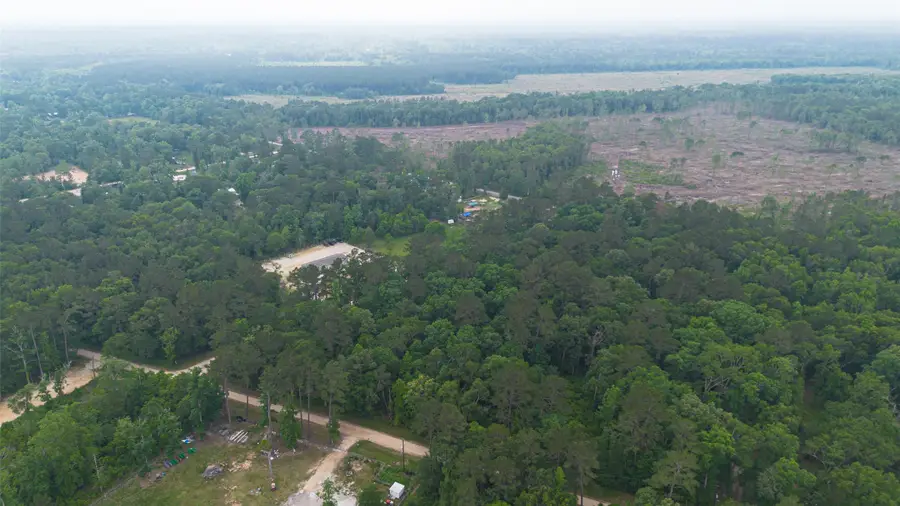 TBD Pine Crest Street, Shepherd, TX 77371 - #3