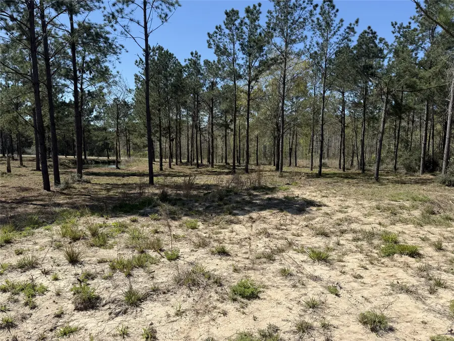 521 Rolling Pines Dr, Livingston, TX 77351 - #3