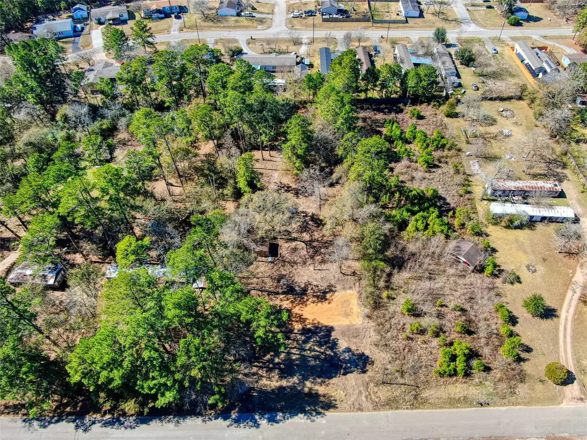 31307 Terri Lane, Magnolia, TX 77355 - #1