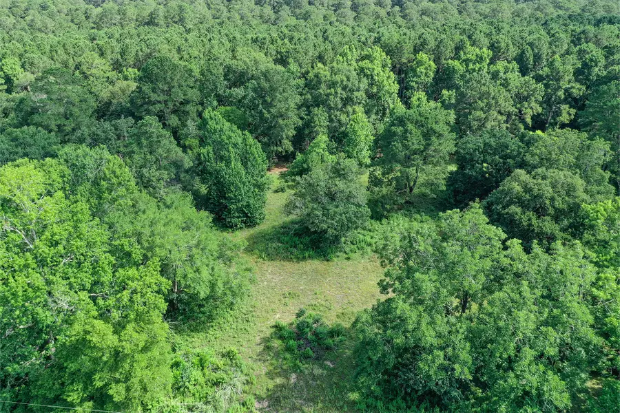 373 Johnson Road, Huntsville, TX 77320 - Image #3