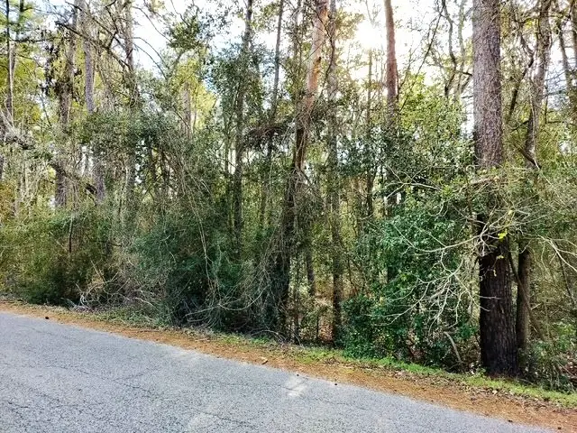 0 Belleau Wood Drive, Houston, TX 77338 - Image #1