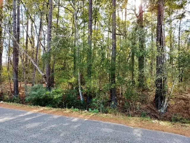 0 Belleau Wood Drive, Houston, TX 77338 - Image #3