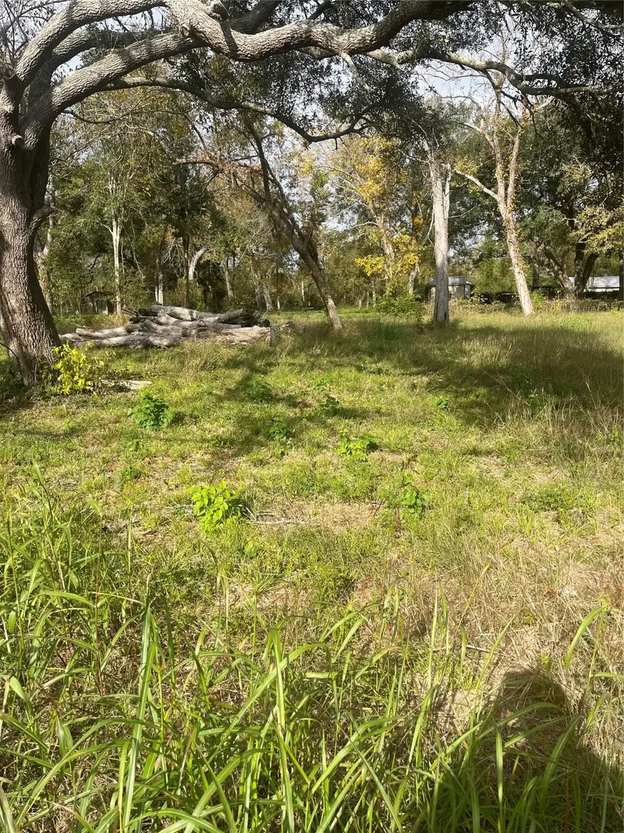 0 Highway 6, Hitchcock, TX 77563 - Image #3