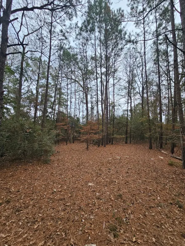 263 Wishing Trail, Livingston, TX 77351