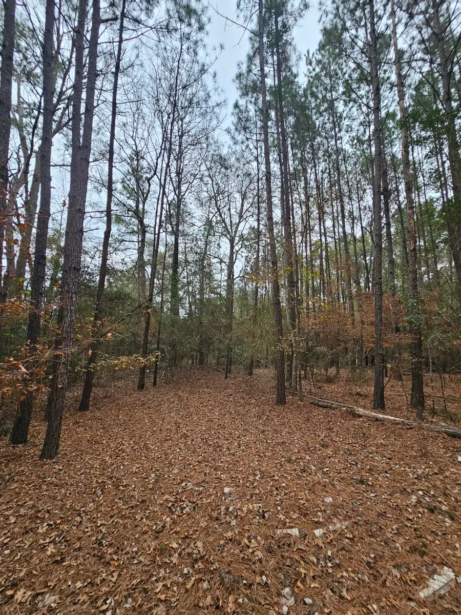 263 Wishing Trail, Livingston, TX 77351 - #2