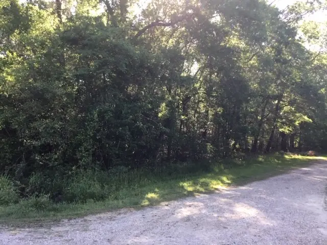 000 Brook Tree, Livingston, TX 77351 - #2