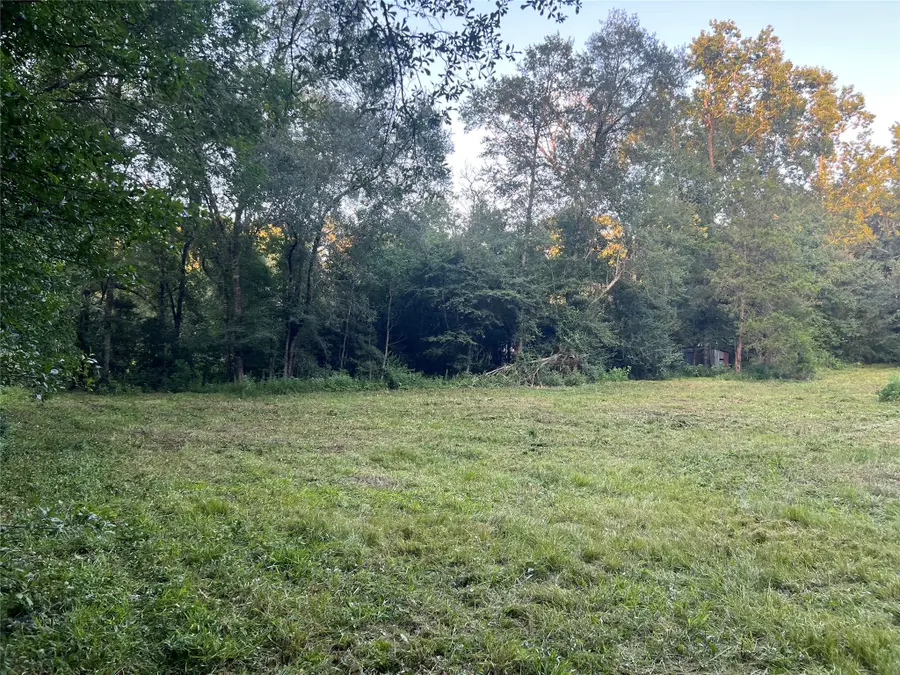 64 Ranch Acres Drive, Huntsville, TX 77340 - Image #3