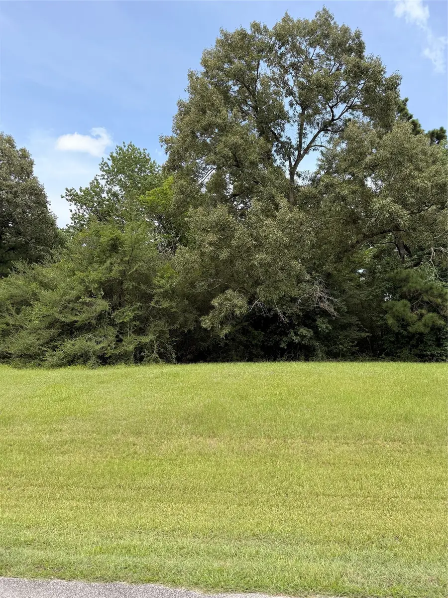 7 Sunny Hill Drive, Huntsville, TX 77340 - #3