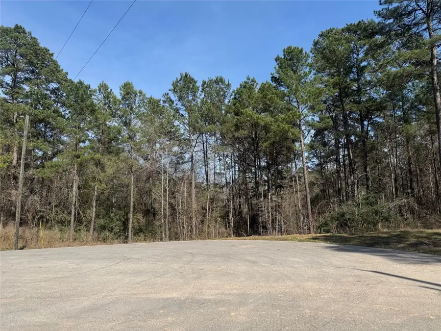 67-21-13 Bighorn Road, New Waverly, TX 77358 - #2