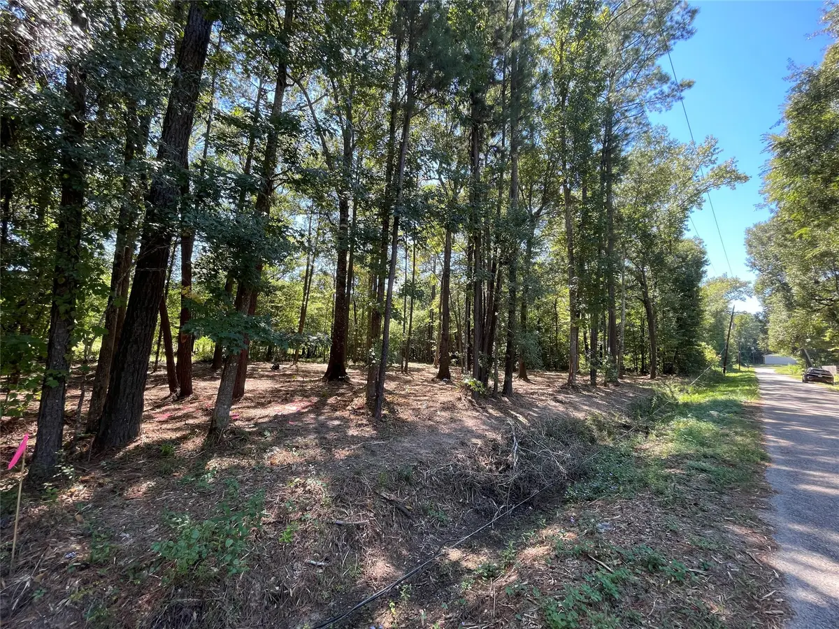 0 County Road 3812, Cleveland, TX 77328 - Image #1