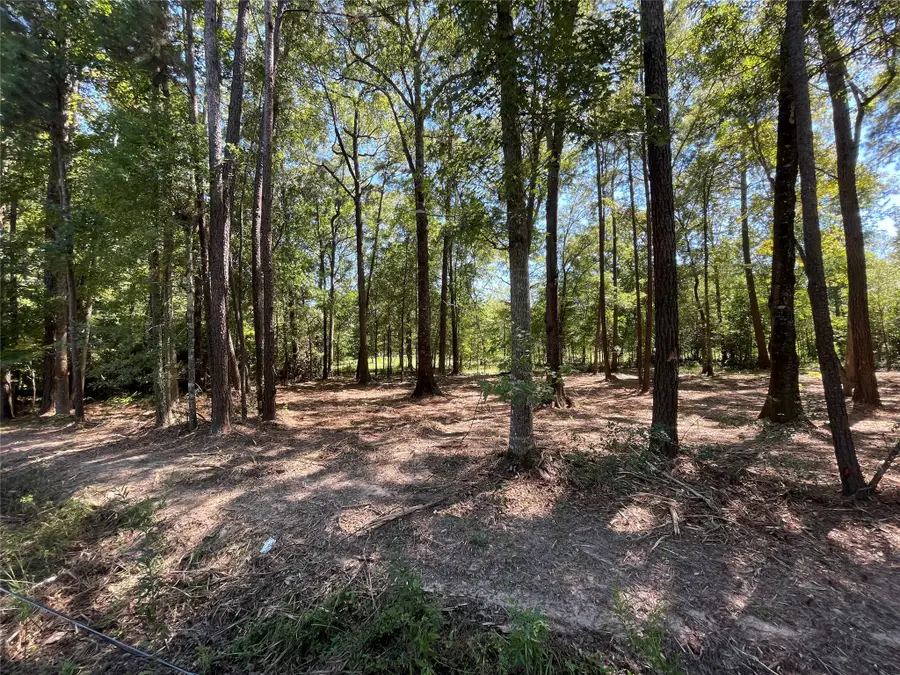 0 County Road 3812, Cleveland, TX 77328 - Image #2