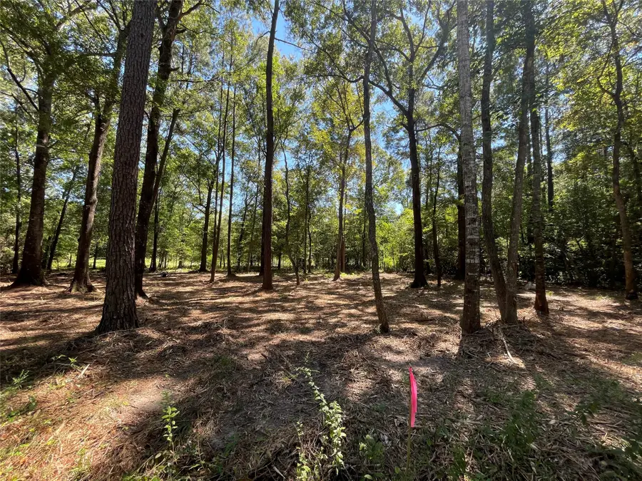 0 County Road 3812, Cleveland, TX 77328 - Image #3