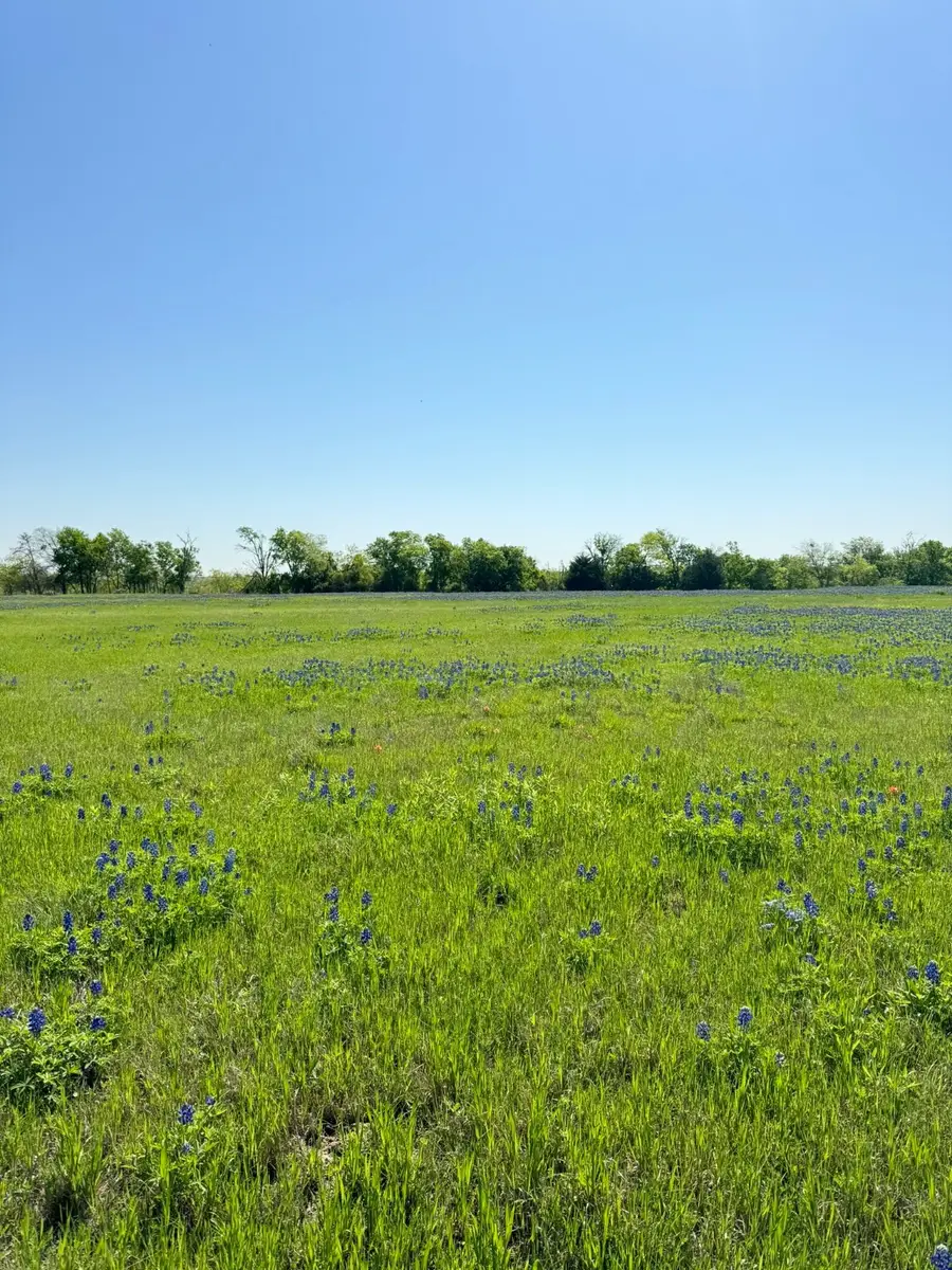 5.01 ACRES Fm-308, Penelope, TX 76676 - #2