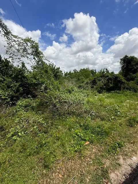 13033 Greens Bayou Street, Houston, TX 77015 - #3