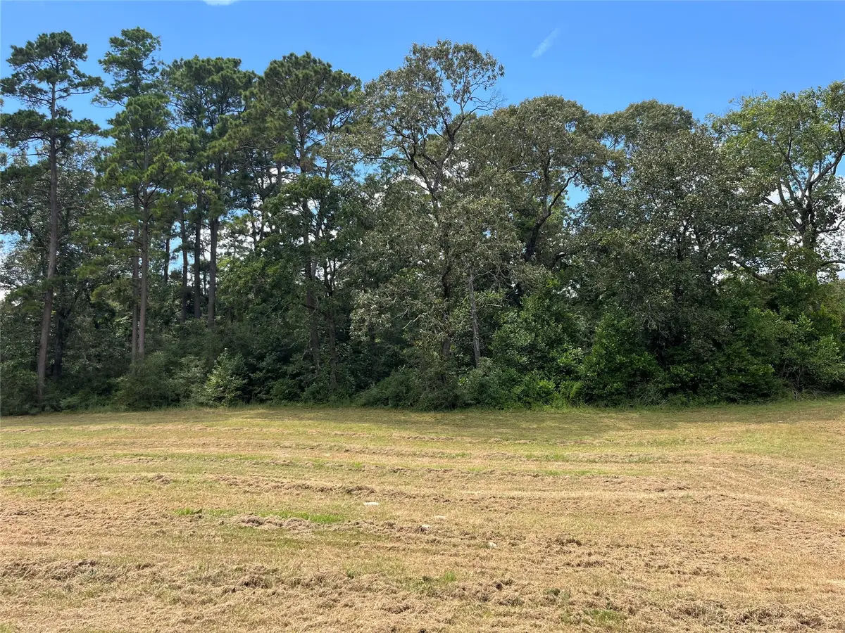 12147 Mustang Avenue, Willis, TX 77378 - Image #1