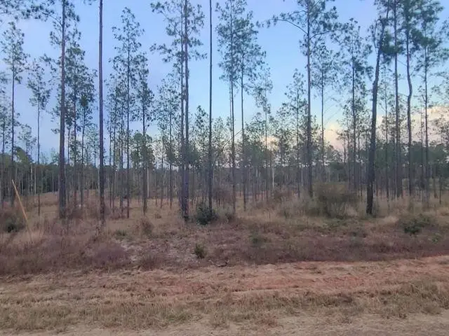 087 Private Road 6026, Brookeland, TX 75931 - Image #3