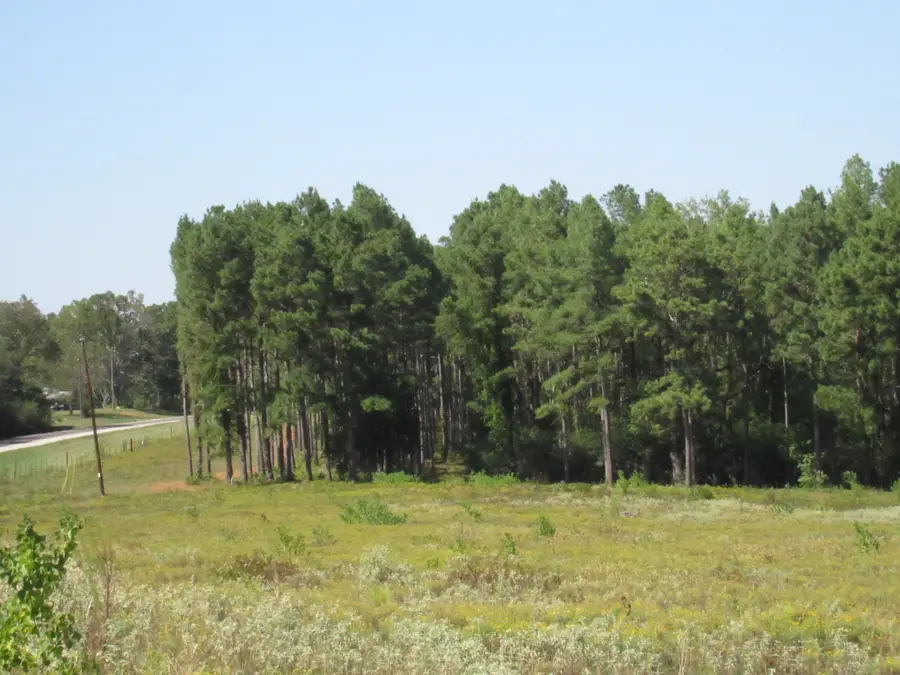 0024 Fm 256 N, Woodville, TX 75979 - Image #3