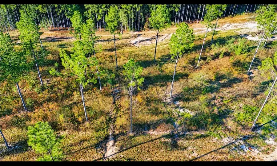 Lot 2 Black Buck Drive Drive, Moscow, TX 75960 - #2