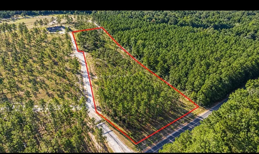 Lot 2 Black Buck Drive Drive, Moscow, TX 75960 - #3
