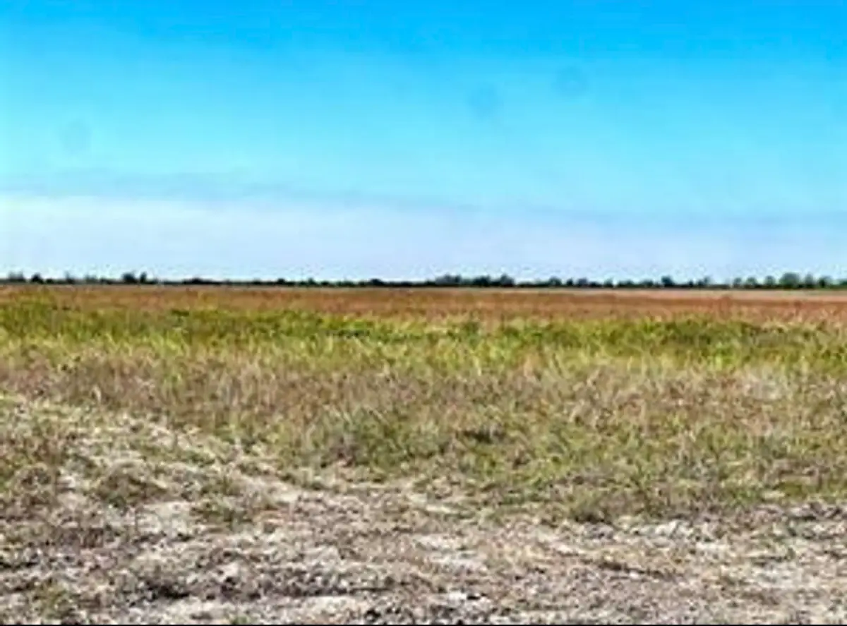 1293 Mc Donald Rd, Eagle Lake, TX 77434 - #1