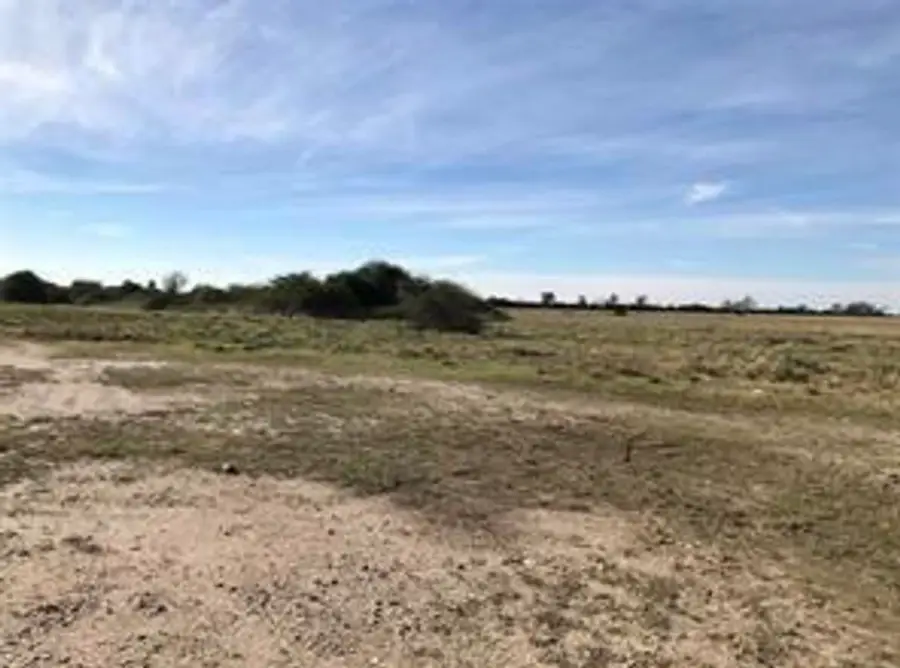 1293 Mc Donald Rd, Eagle Lake, TX 77434 - #2
