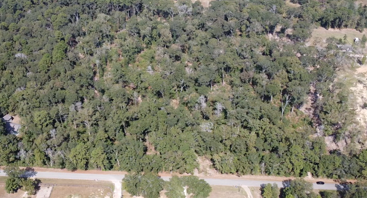 TBD Tbd Crowley Rd, Conroe, TX 77301 - Image #1