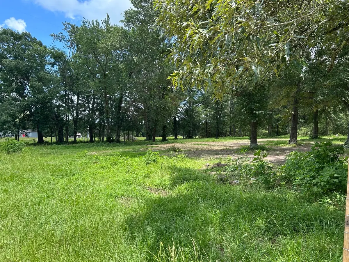 TBD N Mount Mariah Road, Montgomery, TX 77356 - #1